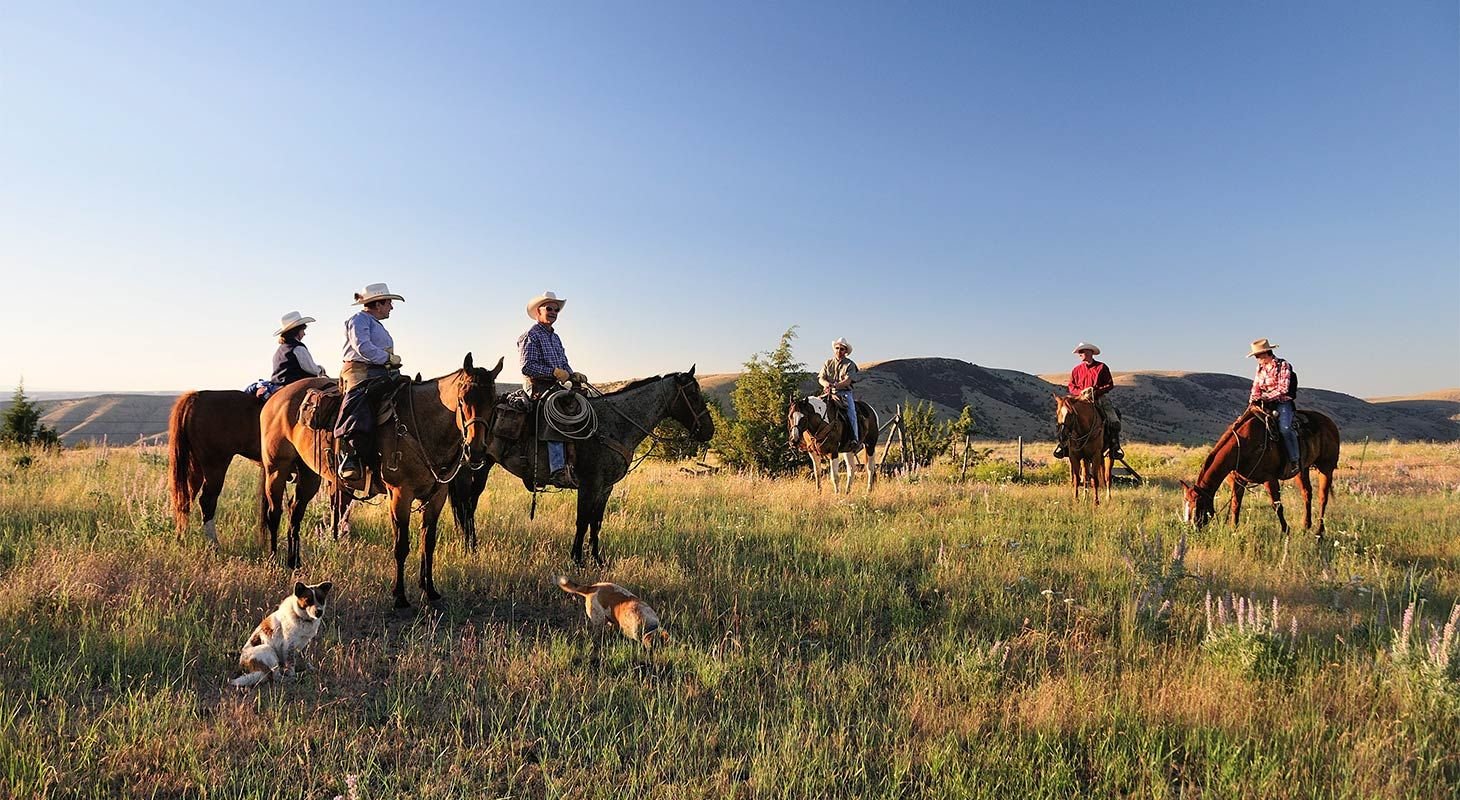 Cowboy riding horseback on the ranch