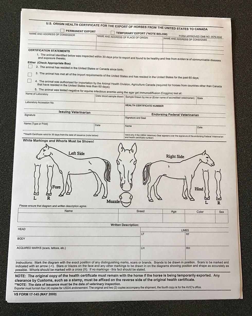 International equine health certificate and export documentation
