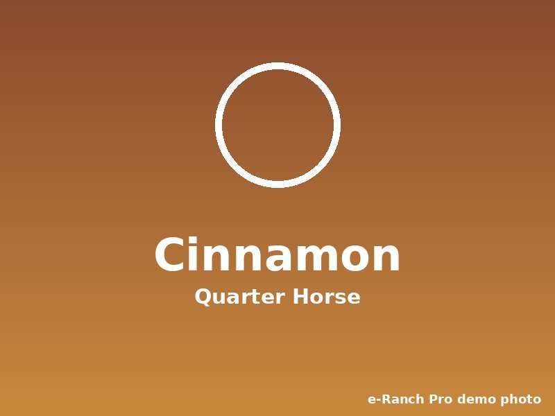 Cinnamon