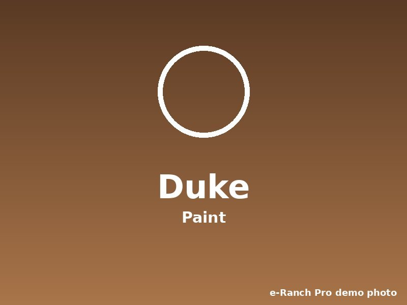 Duke