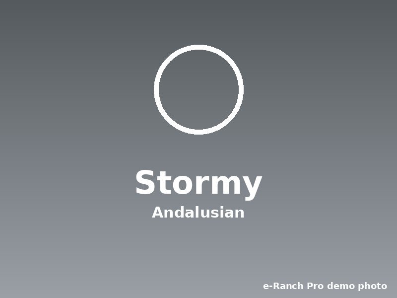 Stormy